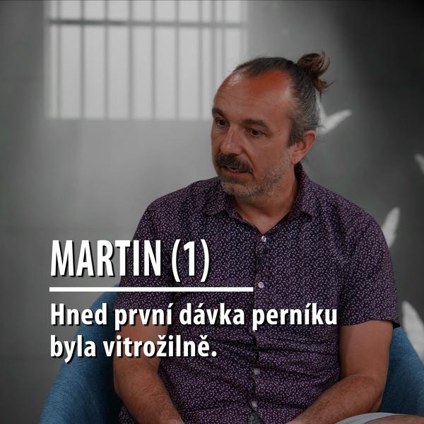 Motýl za katrem