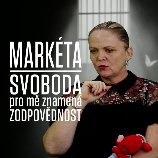 Motýl za katrem