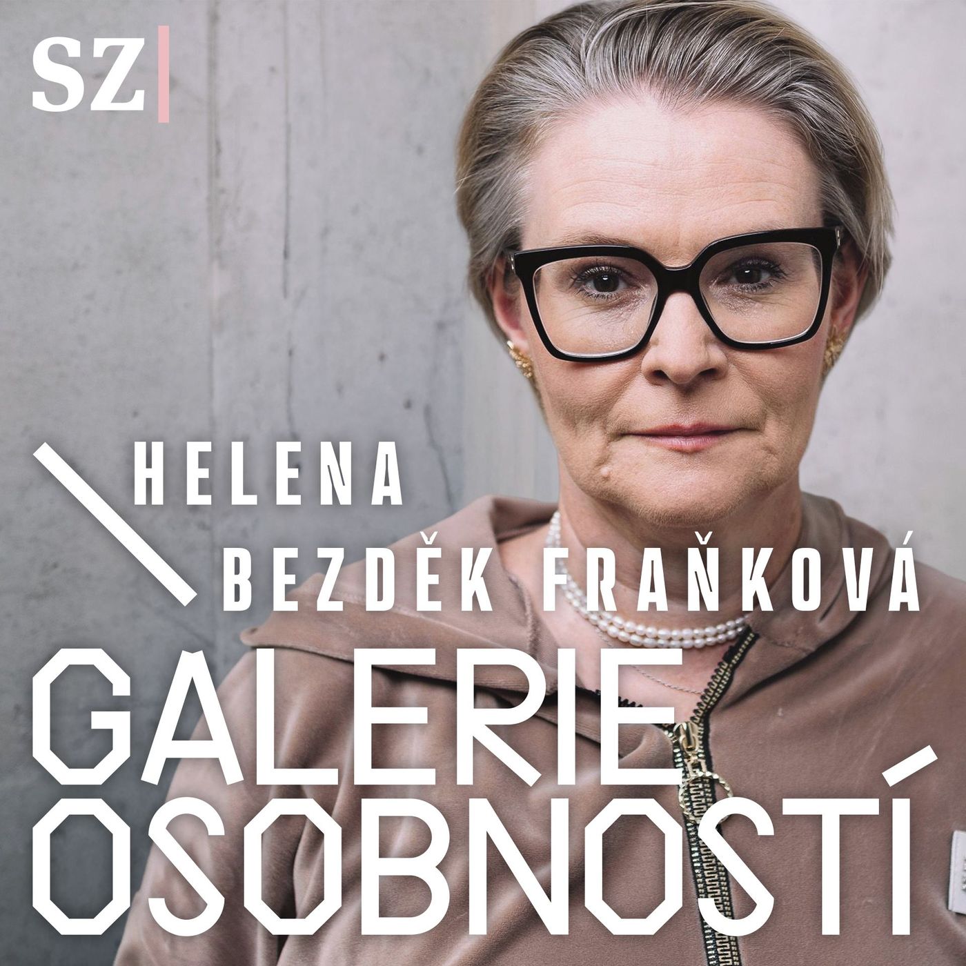 Play Zažila 14 ministrů kultury: „První rok hledá záchod, třetí rok chce změny“