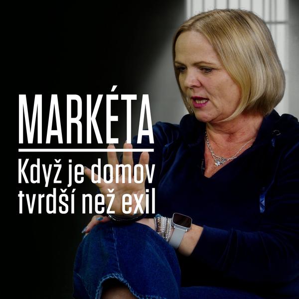 Motýl za katrem