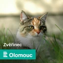 Veterinární a chovatelskou poradnu pro vás otevíráme s veterinárním lékařem Petrem Procházkou