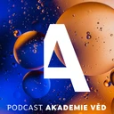 Překvapivé vlnění: co zvuk prozrazuje o materiálech, přibližuje fyzik Hanuš Seiner
