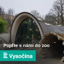 Cesta do Izraele trvala měsíce. Přeprava hroší slečny vyžadovala speciální bednu i desítky povolení