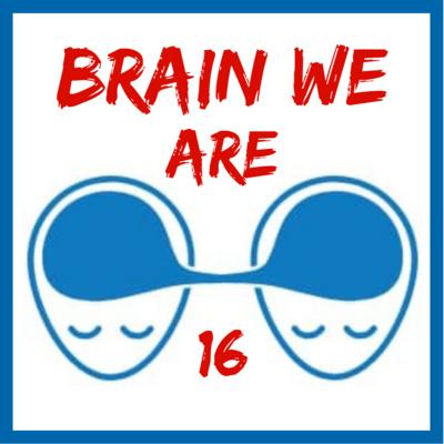Brain We Are CZ