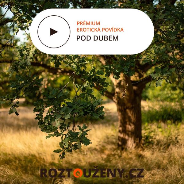 Roztouženy.cz