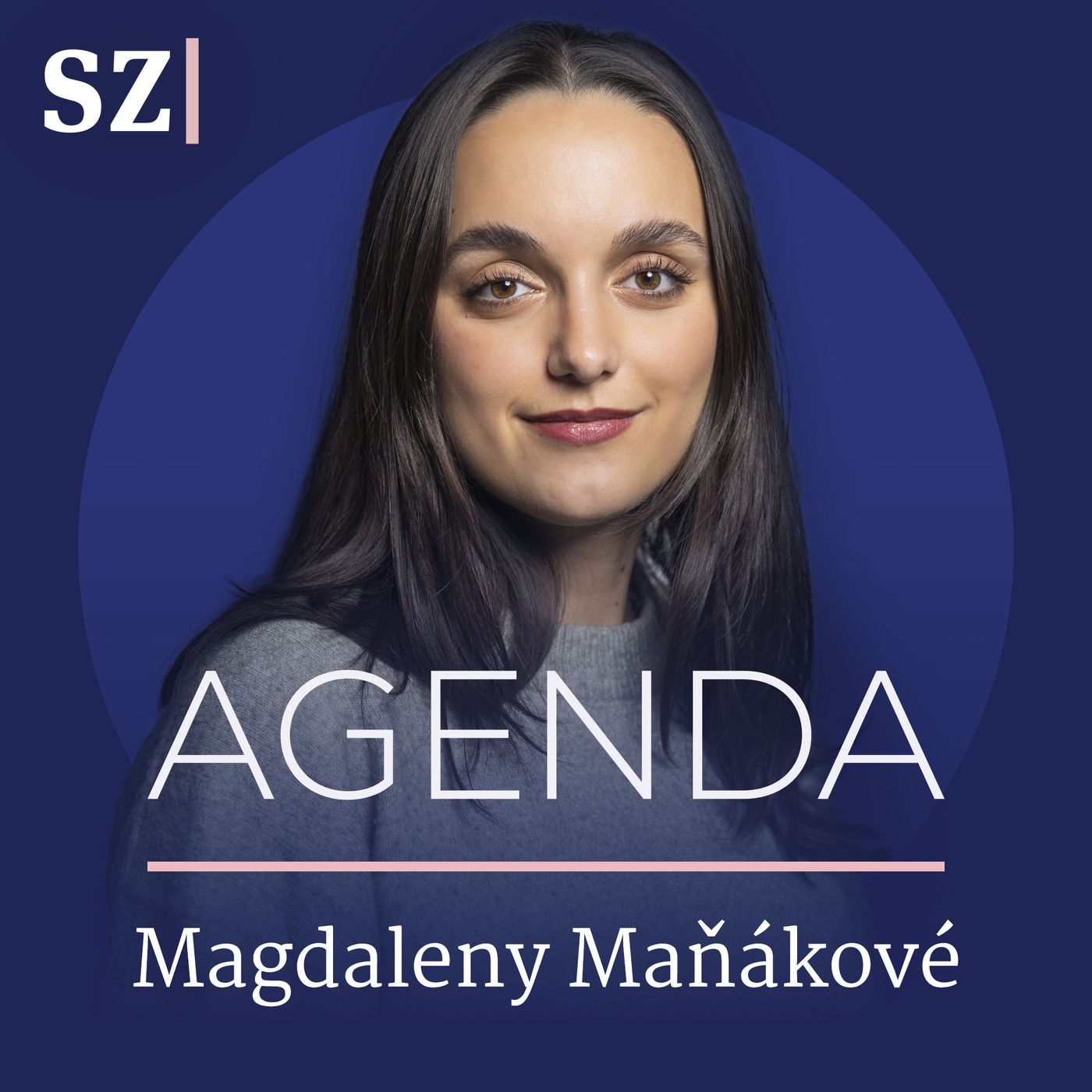 Šéf Microsoftu ČR: AI může být digitální kolega. Musí ale dostat jasná pravidla episode artwork