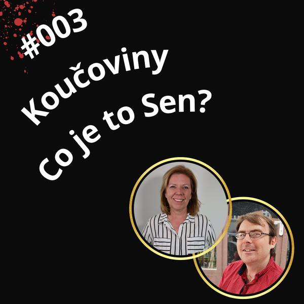 Koučoviny - vytáhni nápad ze šuplíku