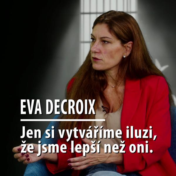 Motýl za katrem