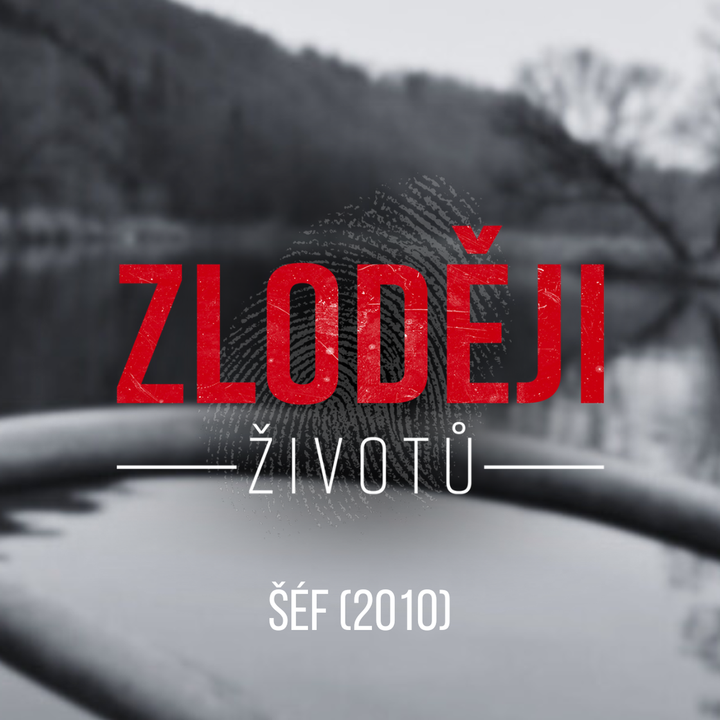 ŠÉF: Vrah s ocelově šedýma očima oběť rozřezal. Tělo vydávala Berounka po částech episode artwork
