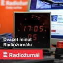 Jaromír Bláha je odborník na biologii lesa z hnutí Duha