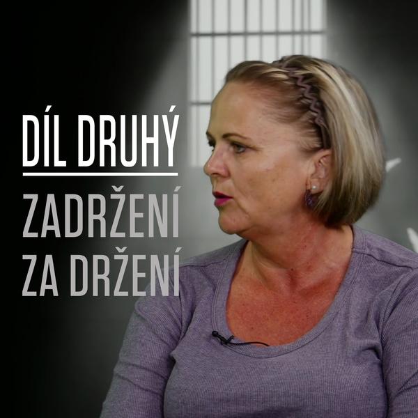 Motýl za katrem