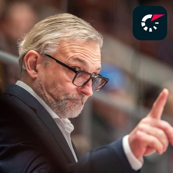 Livesport Zprávy