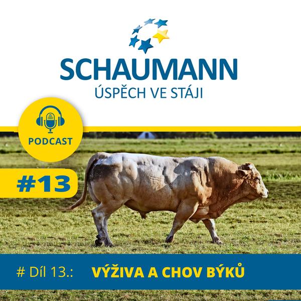 SCHAUMANN: ROZJEĎTE S NÁMI VYŠŠÍ UŽITKOVOST A LEPŠÍ EKONOMIKU!