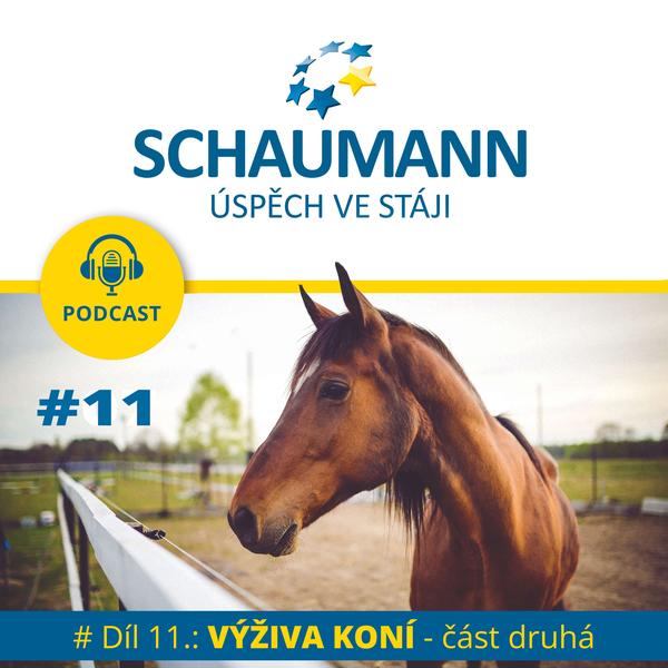 SCHAUMANN: ROZJEĎTE S NÁMI VYŠŠÍ UŽITKOVOST A LEPŠÍ EKONOMIKU!