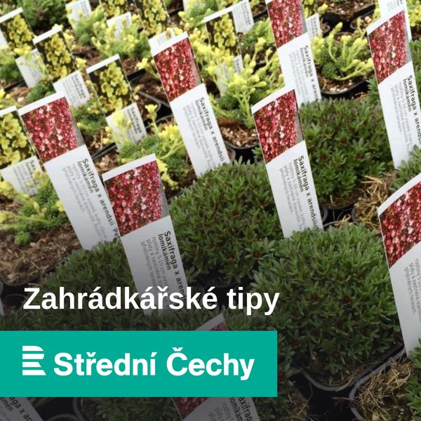Zahrádkářské tipy