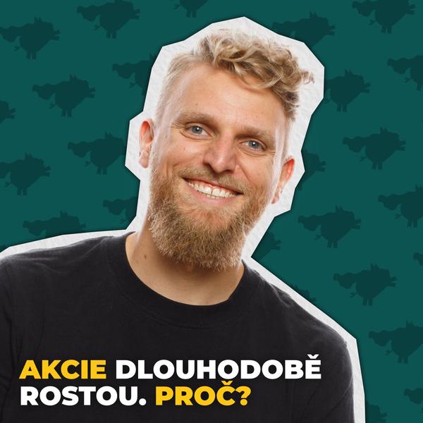 Rozbité prasátko