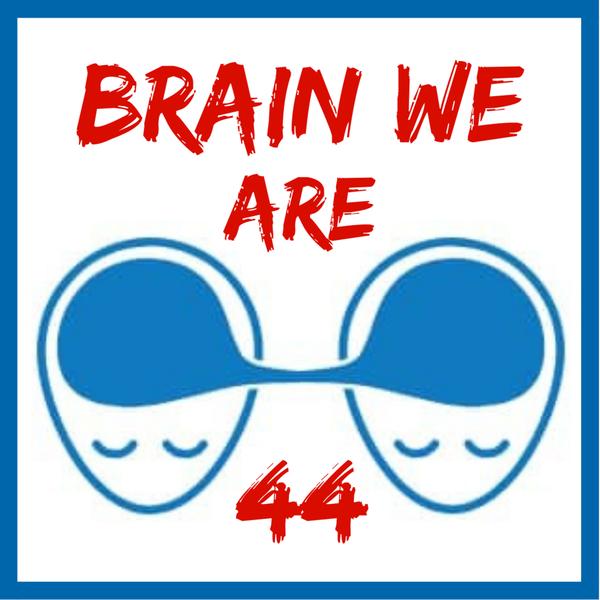 Brain We Are CZ