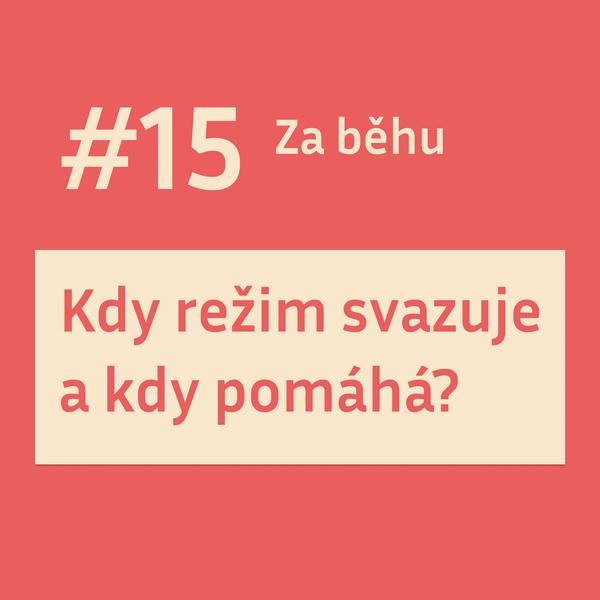 Za běhu