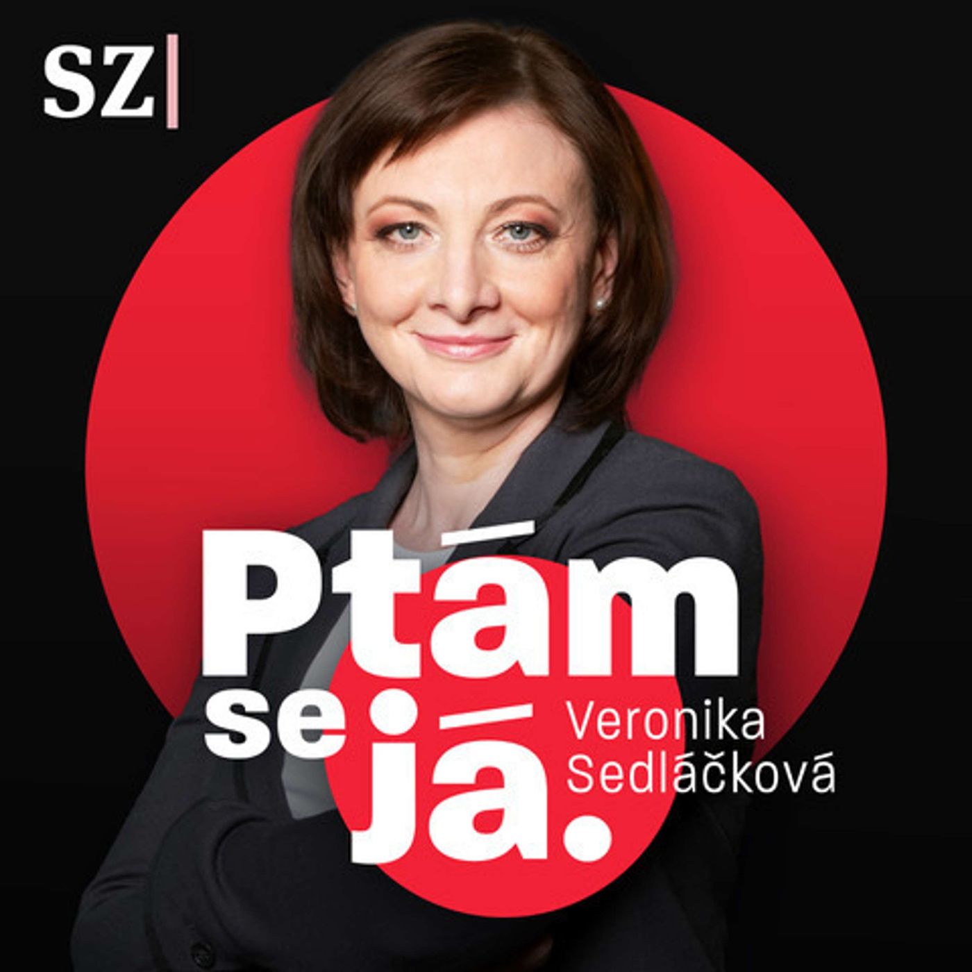 Vláda slíbila deštník proti drahotě. Nechala ale lidi zmoknout, říká Nerudová