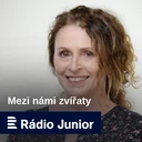 Každý by měl vyrůstat s mopsem, prohlašuje autorka nového seriálu Kačka a Mops