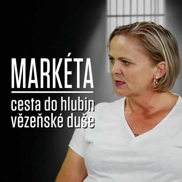Motýl za katrem