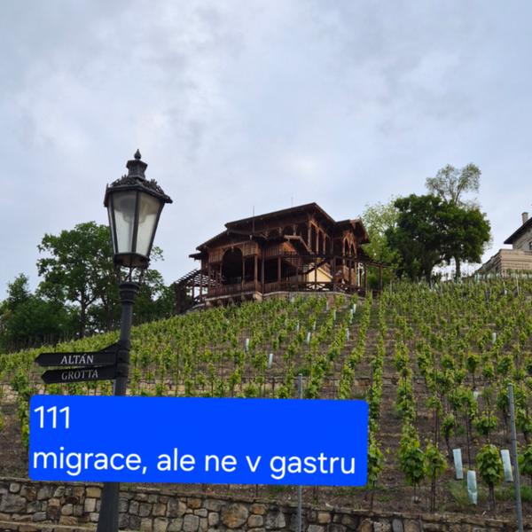 Gastromapa Lukáše Hejlíka 111