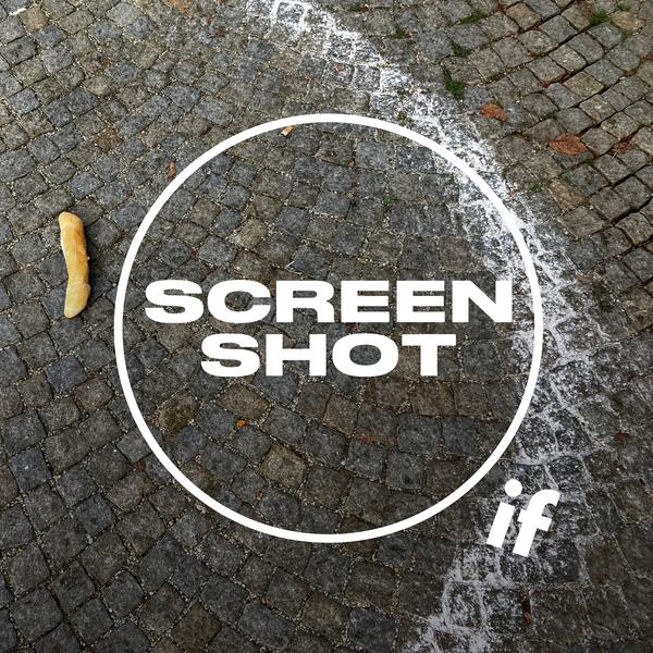 Screenshot Inspiračního fóra