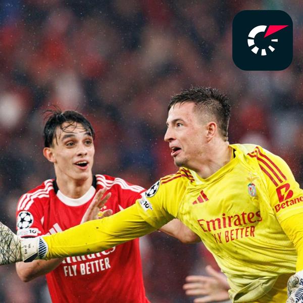 Livesport Zprávy