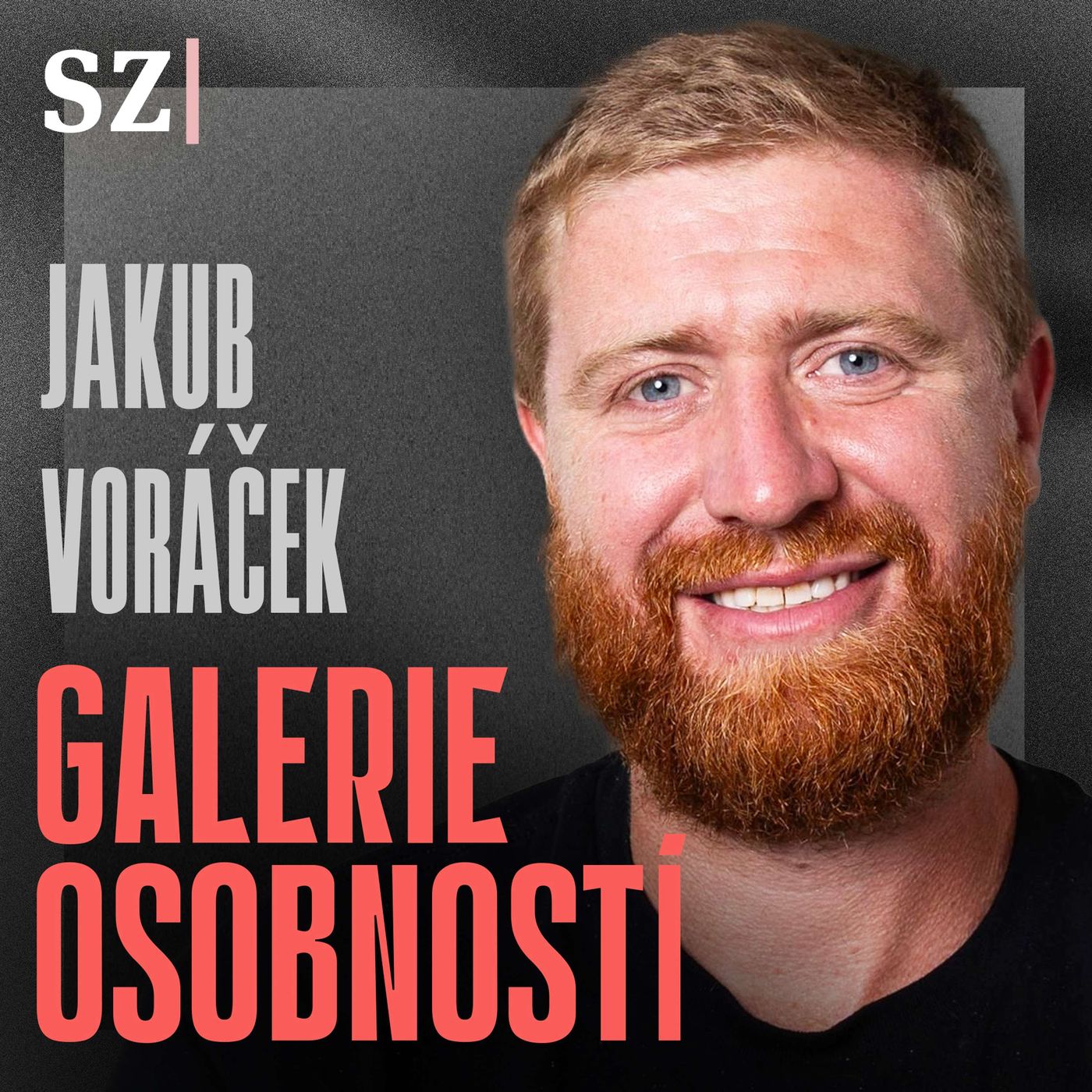 Je škoda plýtvat nenávistí, život je moc krátký, radí hokejista Jakub Voráček