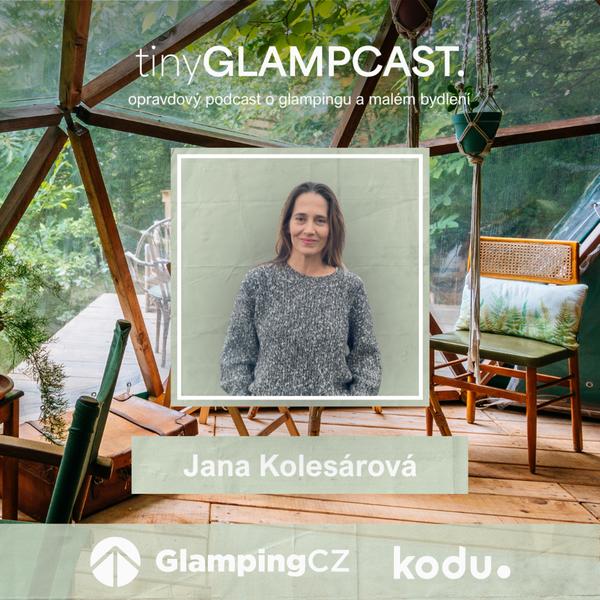 tinyGLAMPCAST