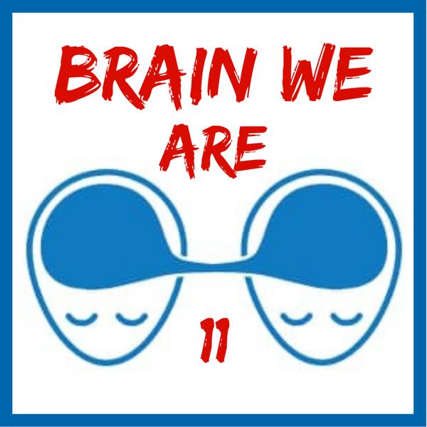 Brain We Are CZ