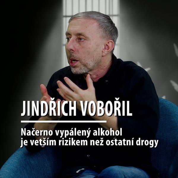 Motýl za katrem