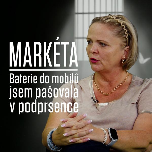 Motýl za katrem