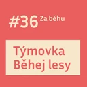 #36 Týmovka Běhej lesy: Doporučujeme. Ale připrav se!