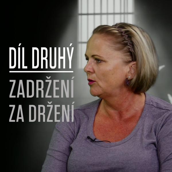Motýl za katrem