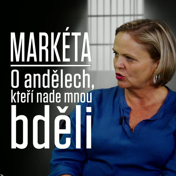 Motýl za katrem