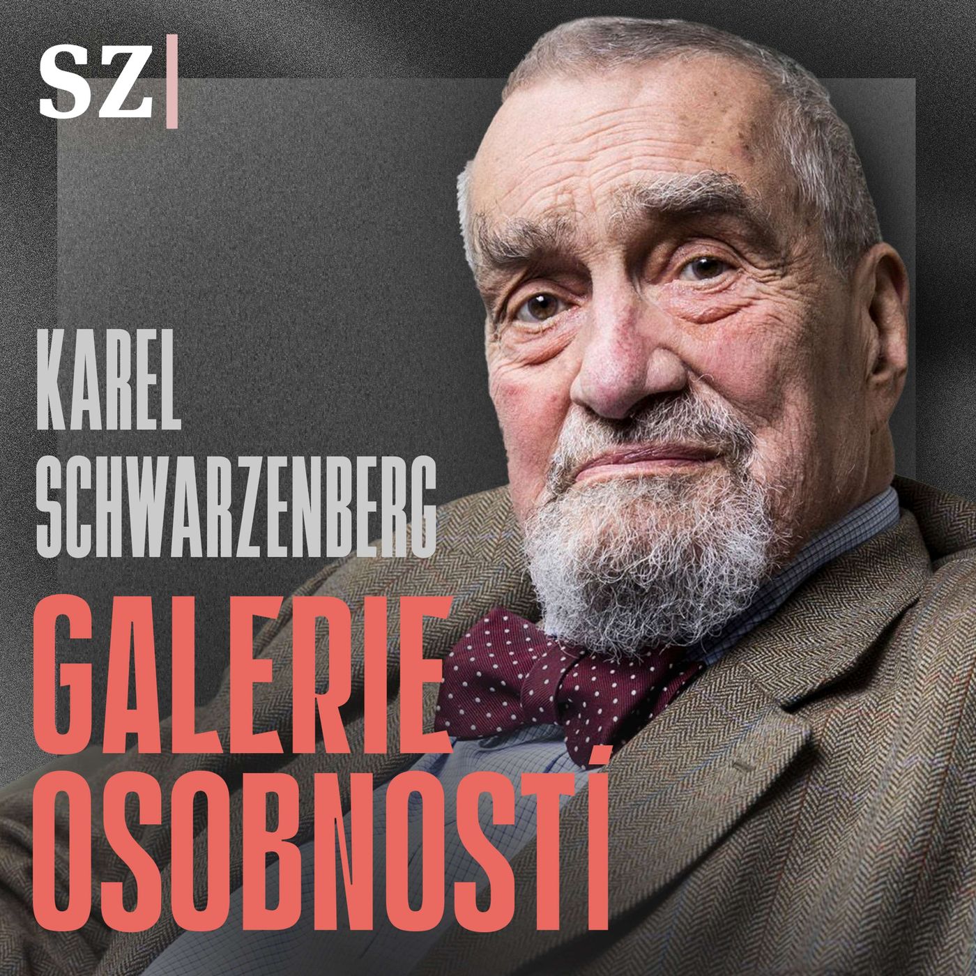 Karel Schwarzenberg: Zvědavej jsem pořád, ale zdraví už mi neslouží episode artwork