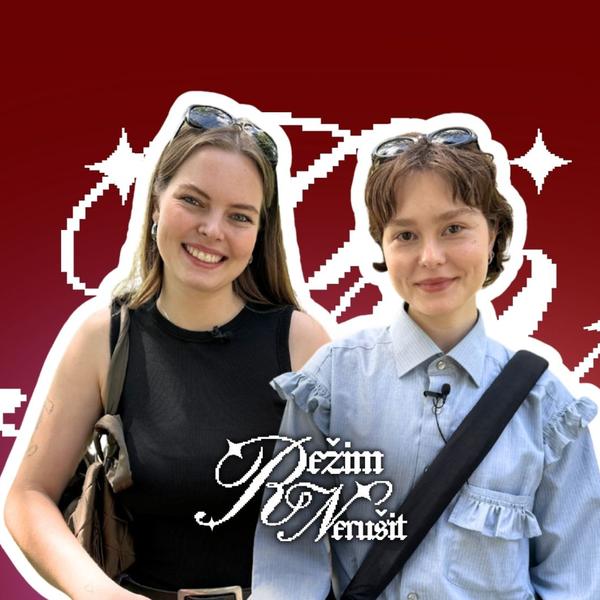 Režim nerušit