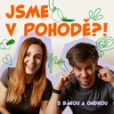 Když se jelo k moři | Řízky, kolony a táta za volantem | 12. díl