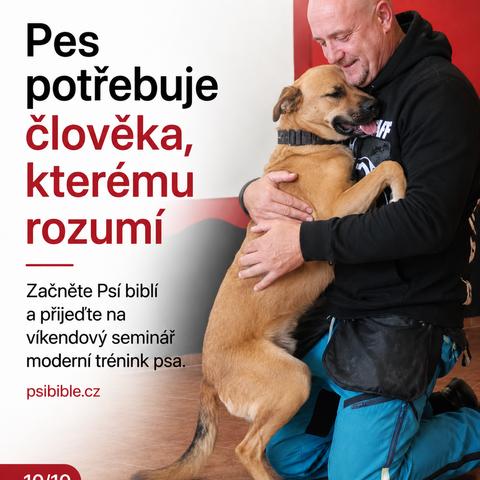 Klub moderního psa