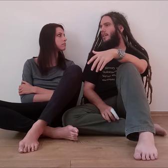 Kanál Svobodného přístavu