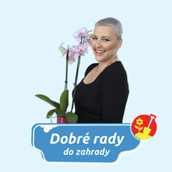 Podcasty Rádia Blaník