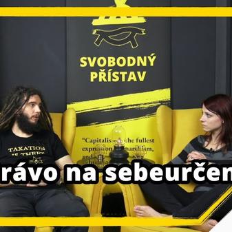 Kanál Svobodného přístavu