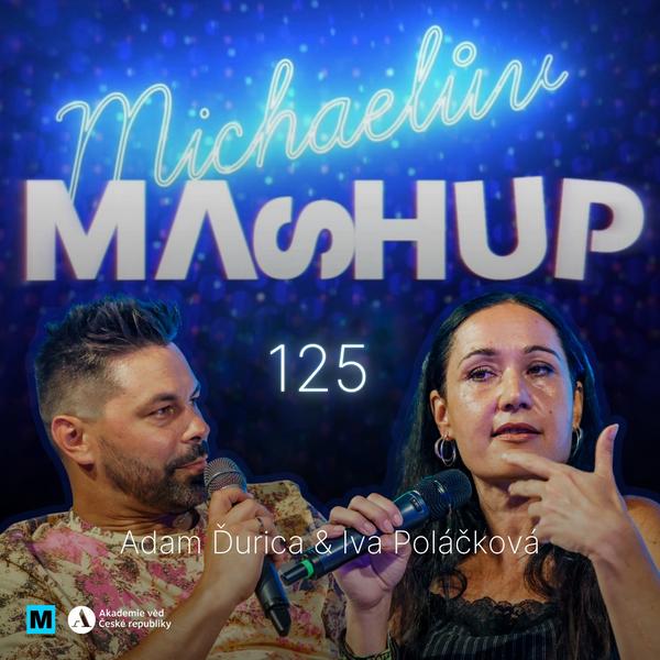 Michaelův Mashup