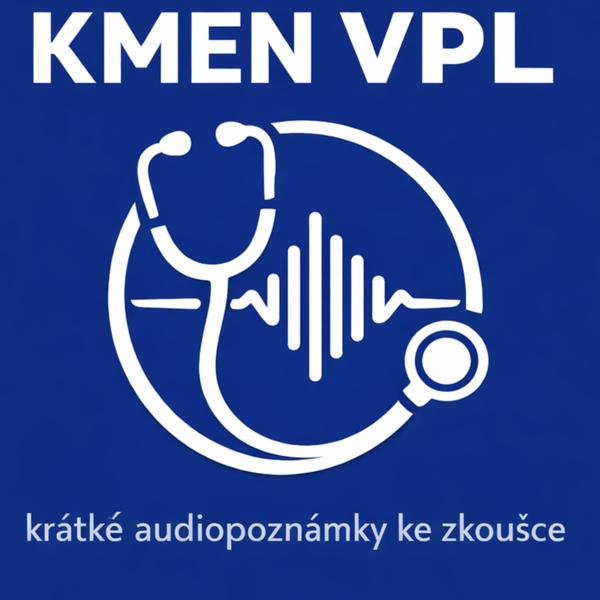Zkouška po kmeni VPL: Opakování krok za krokem (α)-75 mini dialogů.