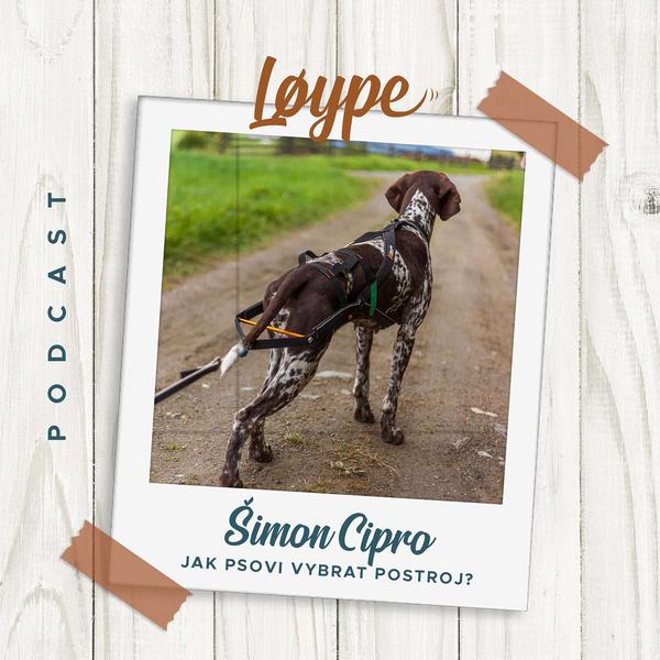 Løype psí podcast