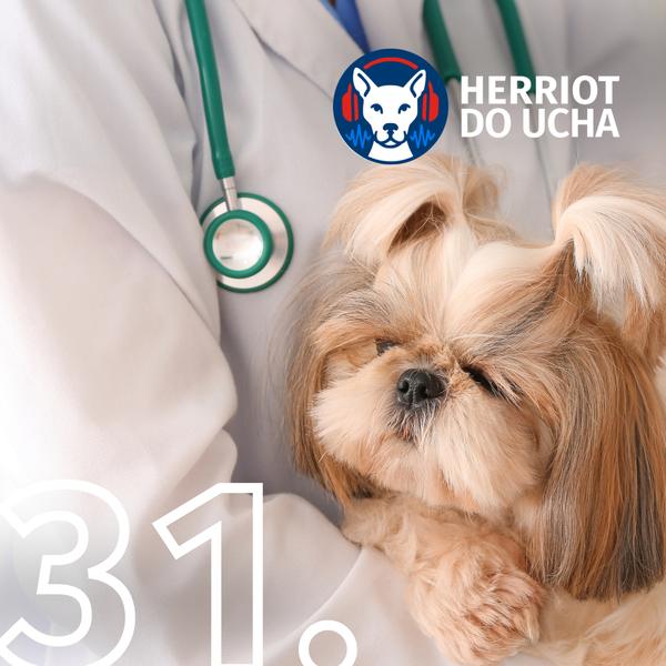 Herriot do ucha