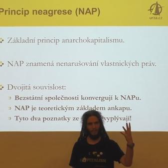 Kanál Svobodného přístavu