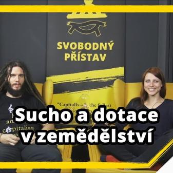 Kanál Svobodného přístavu