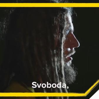 Kanál Svobodného přístavu